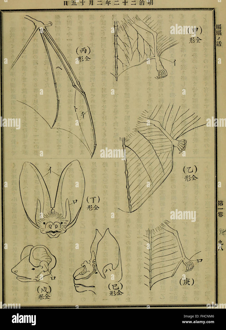 A Japanese scientific journal from 1889, focusing on biological and ...
