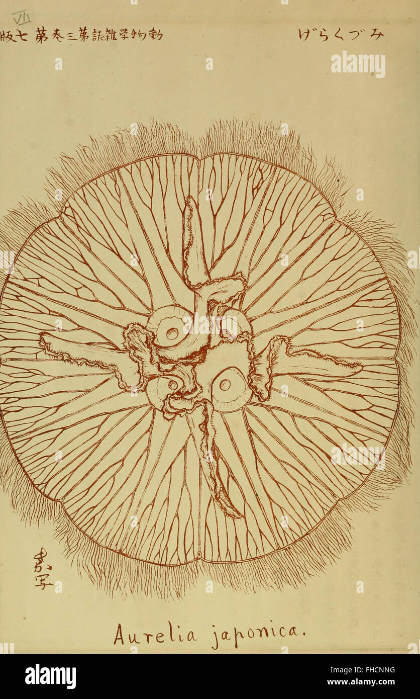 A Japanese scientific journal from 1891, focusing on early studies in ...