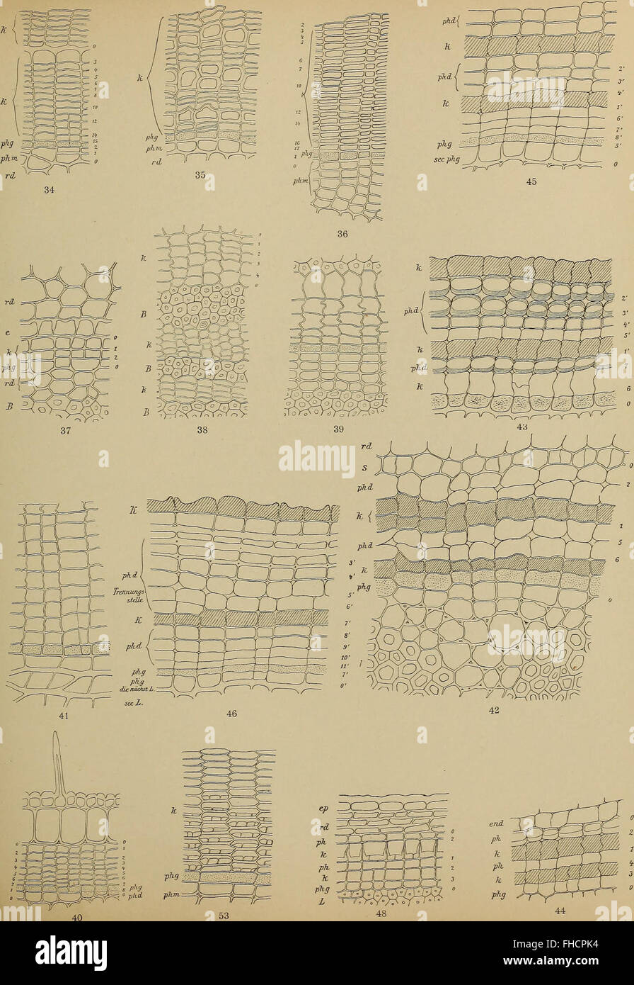A 1909 academic publication from the Austrian Academy of Sciences ...