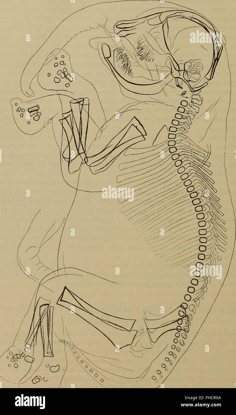 The 1916 volume from the Austrian Academy of Sciences, featuring ...