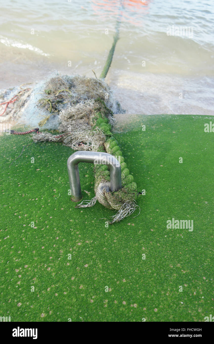 Rope with seaweed Green Stock Photo - Alamy
