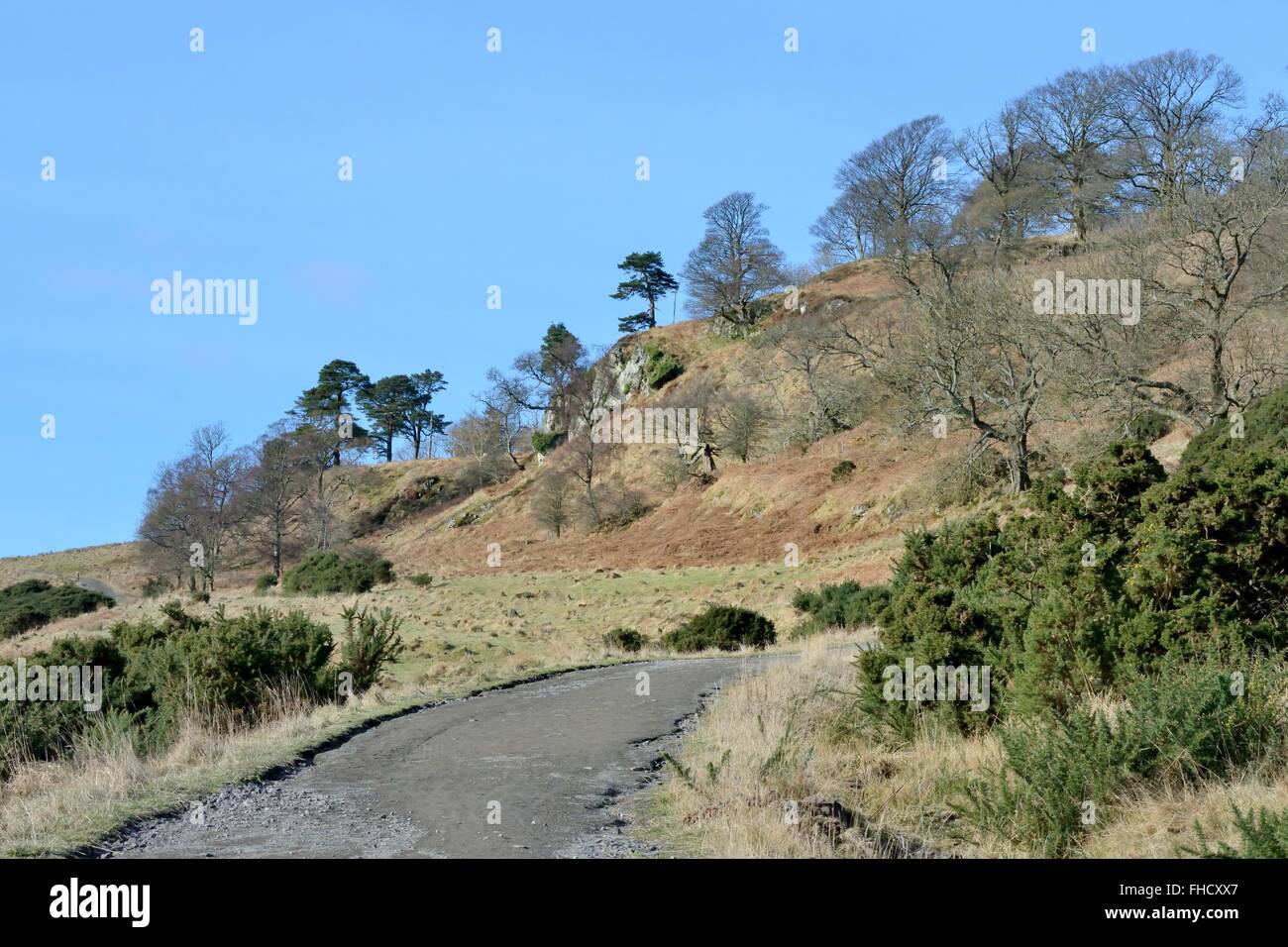 A steep path leading upwards in the Old Kilpatrick Hills in Dumbartonshire, Scotland, UK Stock