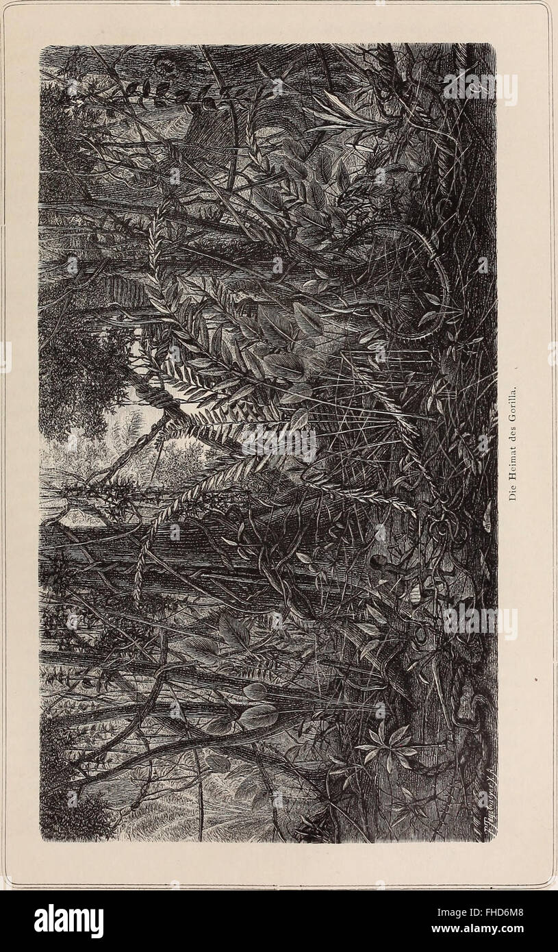 Die Loango-Expedition ausgesandt von der Deutschen Gesellschaft zur Erforschung Aequatorial-Africas, 1873-1876. Ein Reisewerk in drei Abtheilungen (1888) Stock Photo
