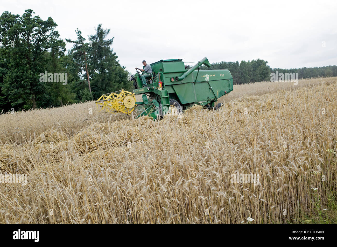 Modern John Deere combine harvester machine harvesting grain on a Polish farm field. Rzeczyca Central Poland Stock Photo