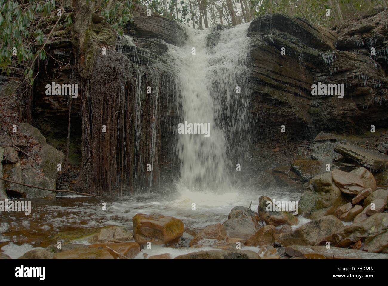 A waterfall in Dolly Sods Wilderness, Monongahela National Forest Stock