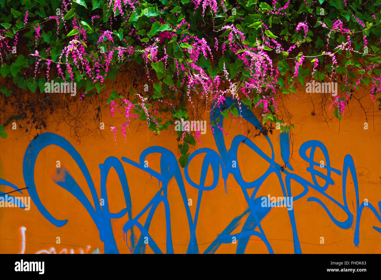 GRAFFITI ART is an important part of the local culture - OAXACA, MEXICO Stock Photo