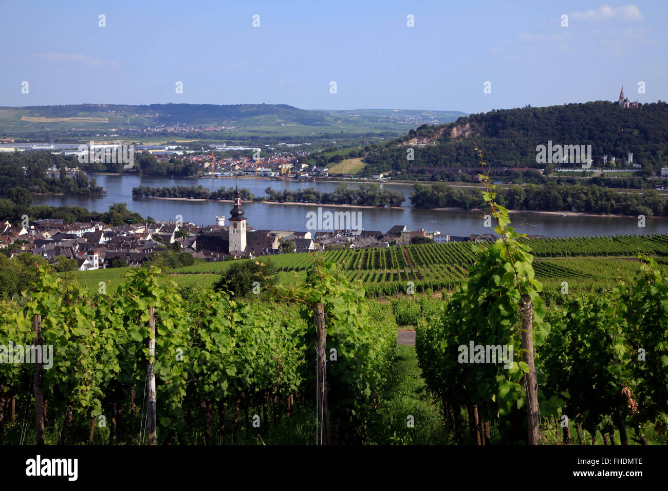 Rudesheim germany hi-res stock photography and images - Alamy