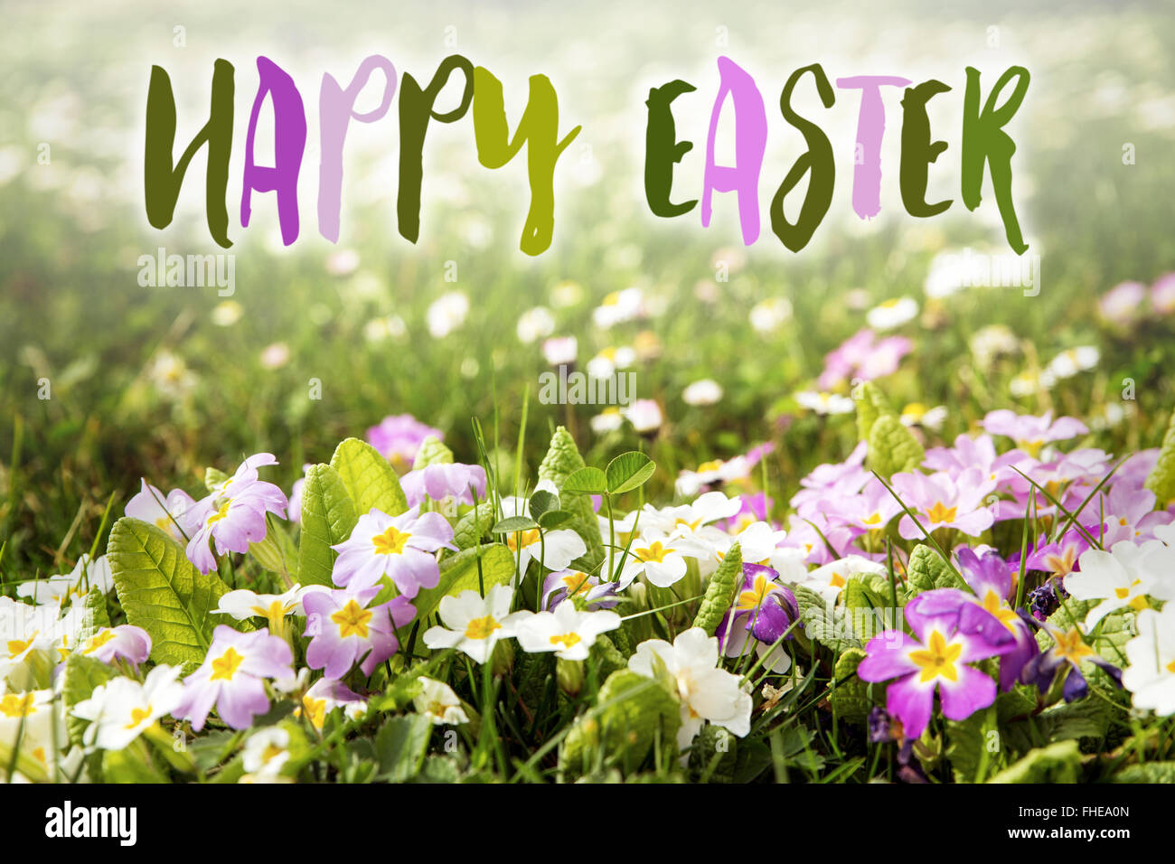 flower meadow with the words happy easter, spring concept Stock Photo