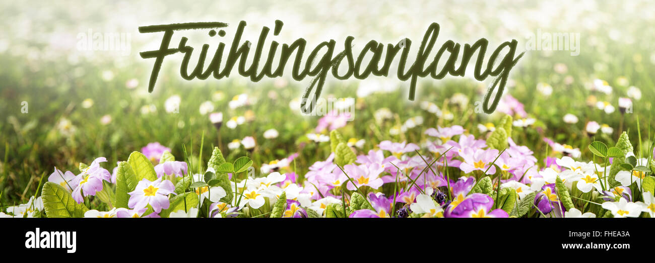 colorful spring meadow with the german word frühlingsanfang, which means spring beginning Stock Photo