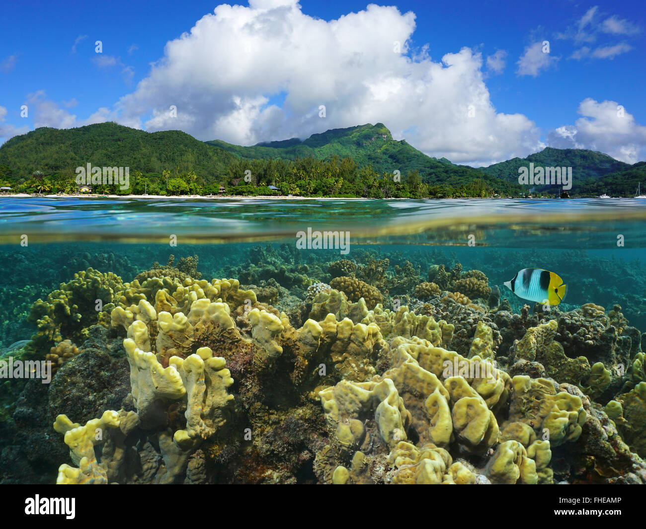 Split over under water surface, coast of Huahine island above waterline and corals underwater, Pacific ocean, French Polynesia Stock Photo