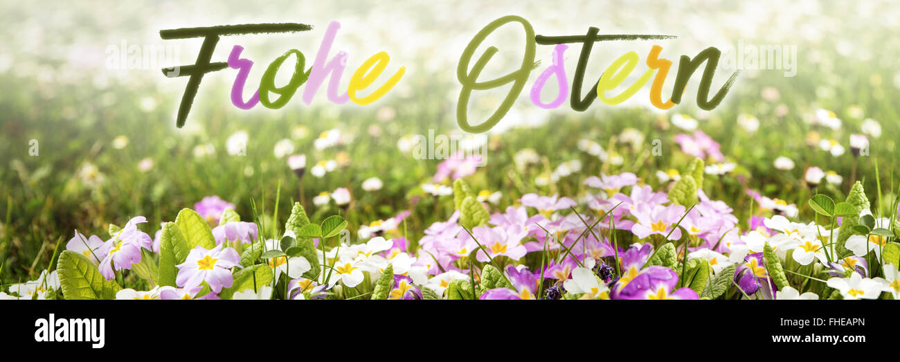 colorful flower meadow with german words frohe Ostern, which means happy easter Stock Photo