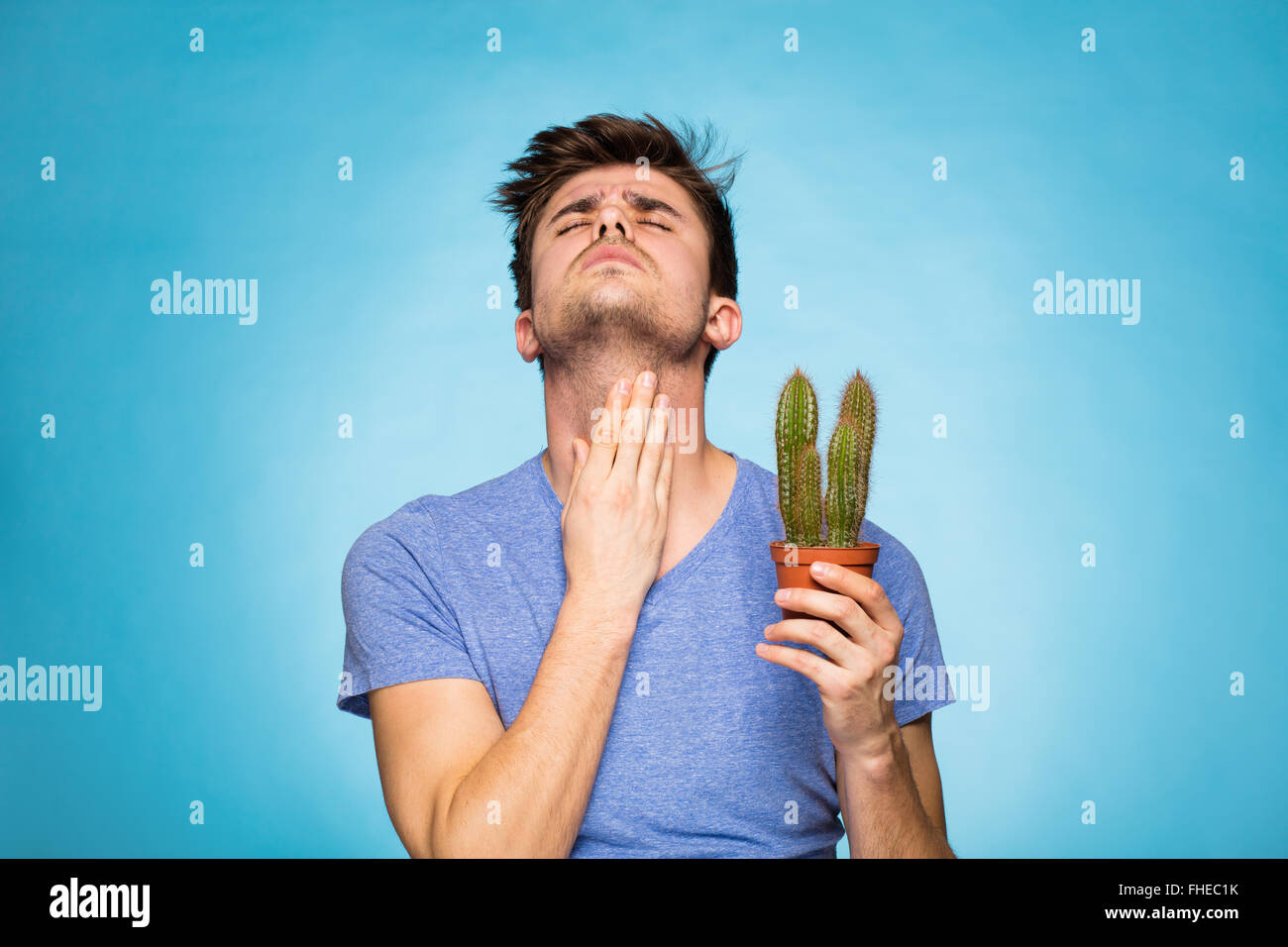 Hand holding cactus hi-res stock photography and images - Page 20 - Alamy