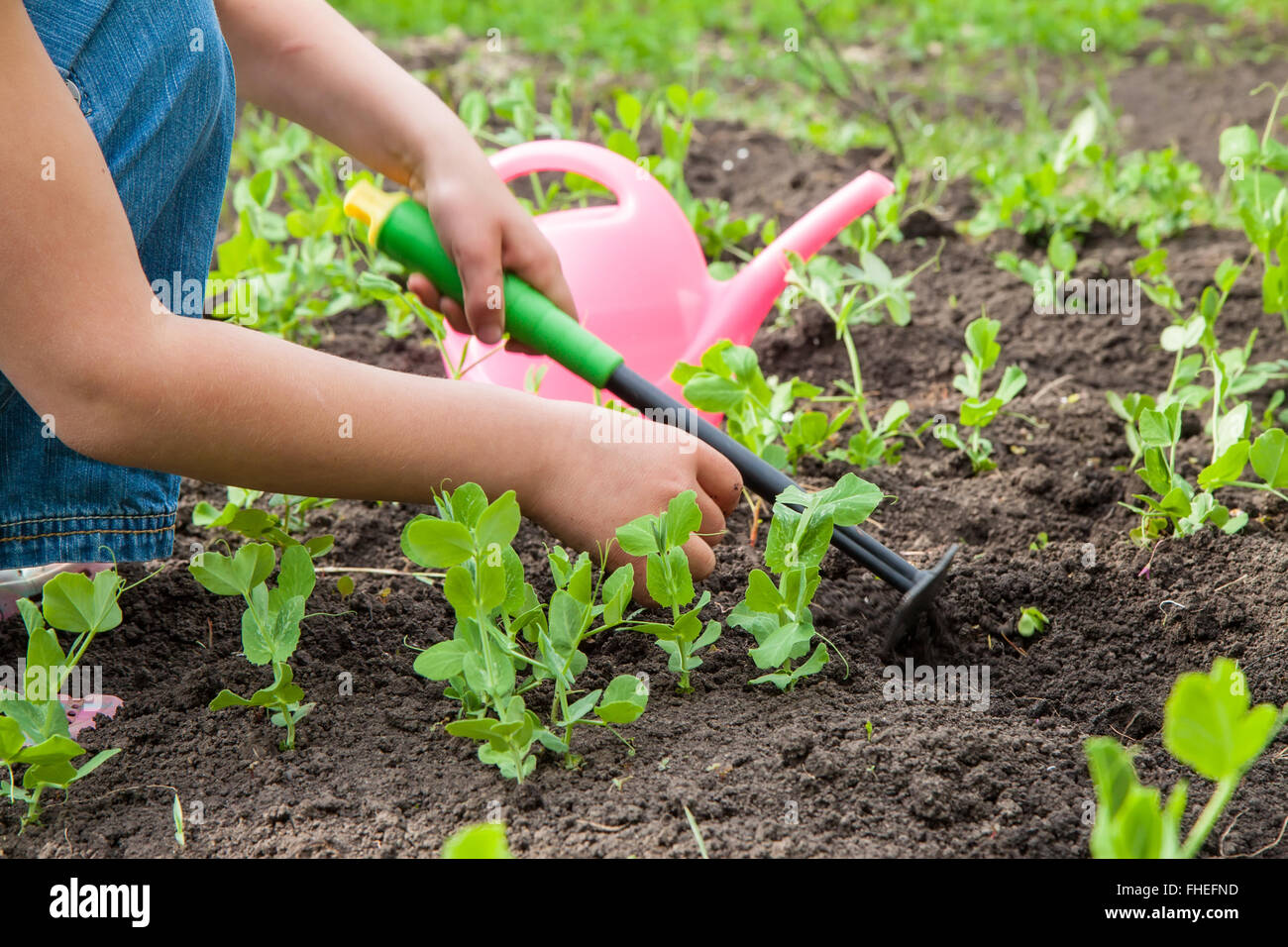 little girl in garden with growing plants Stock Photo - Alamy
