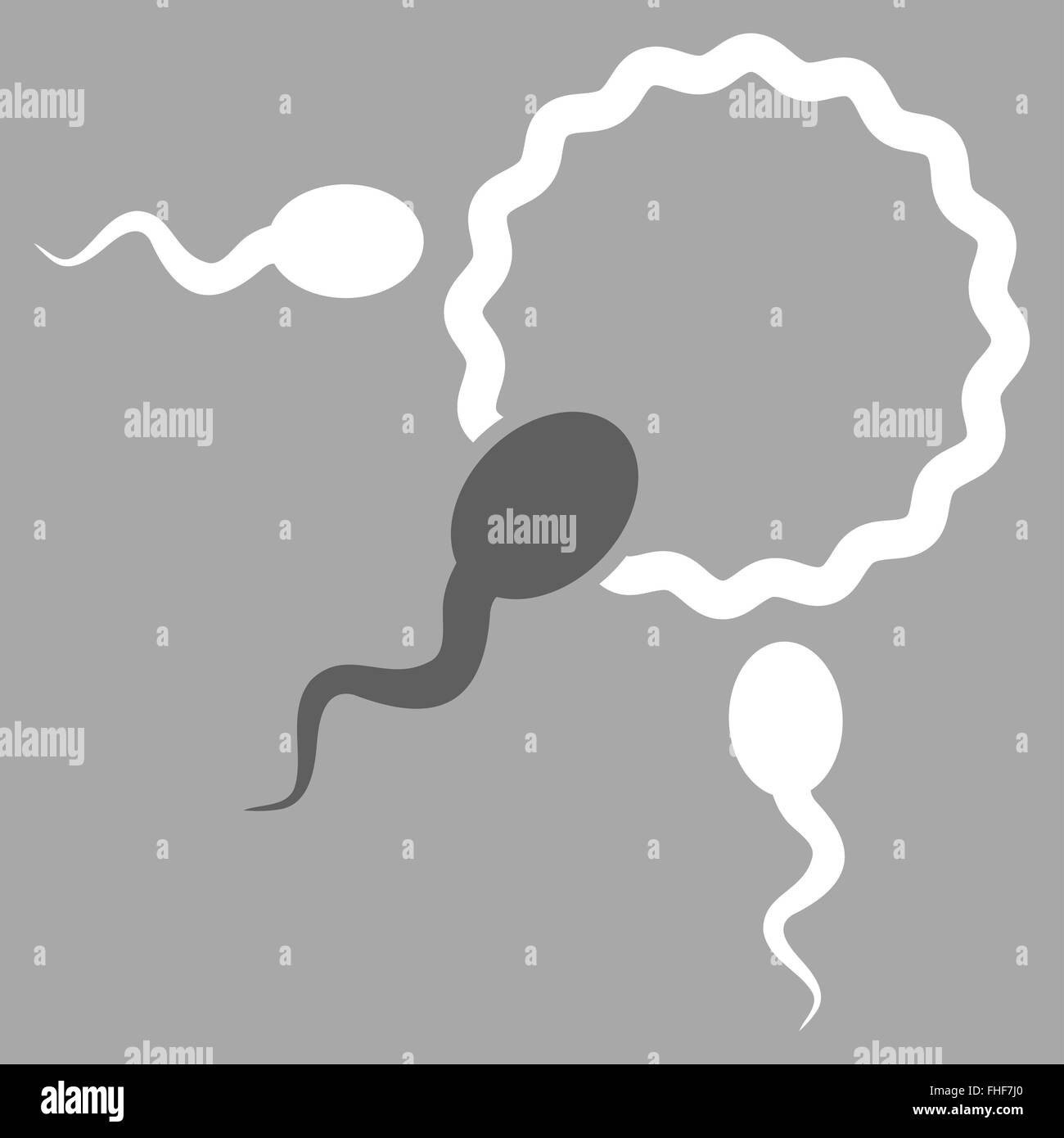 Human sperm egg fertilization Black and White Stock Photos & Images - Alamy