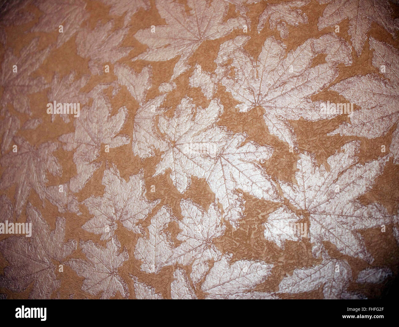 Interior wallpaper leaves hi-res stock photography and images - Alamy