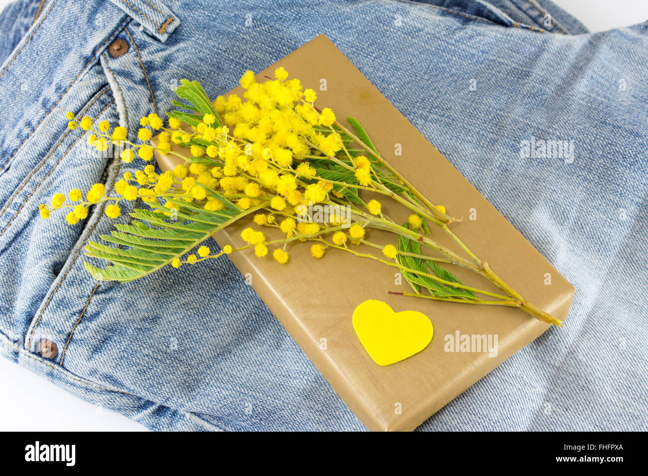 Bouquet of mimosa pudica and a wrapped present on blue jeans Stock Photo
