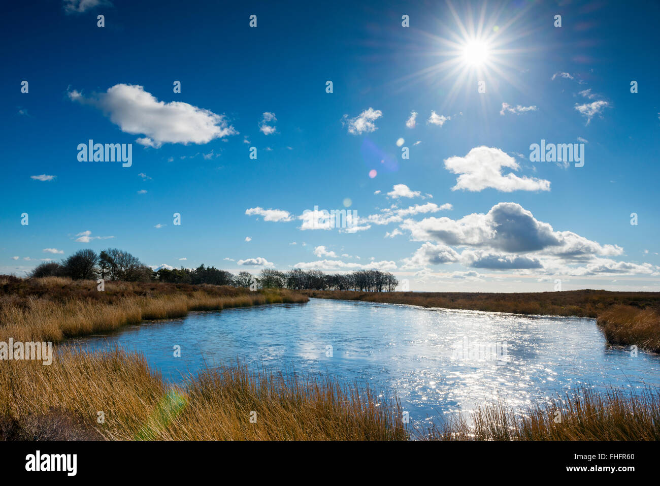 Winter sunshine on a frozen pond on the Long Mynd, Shropshire. Stock Photo
