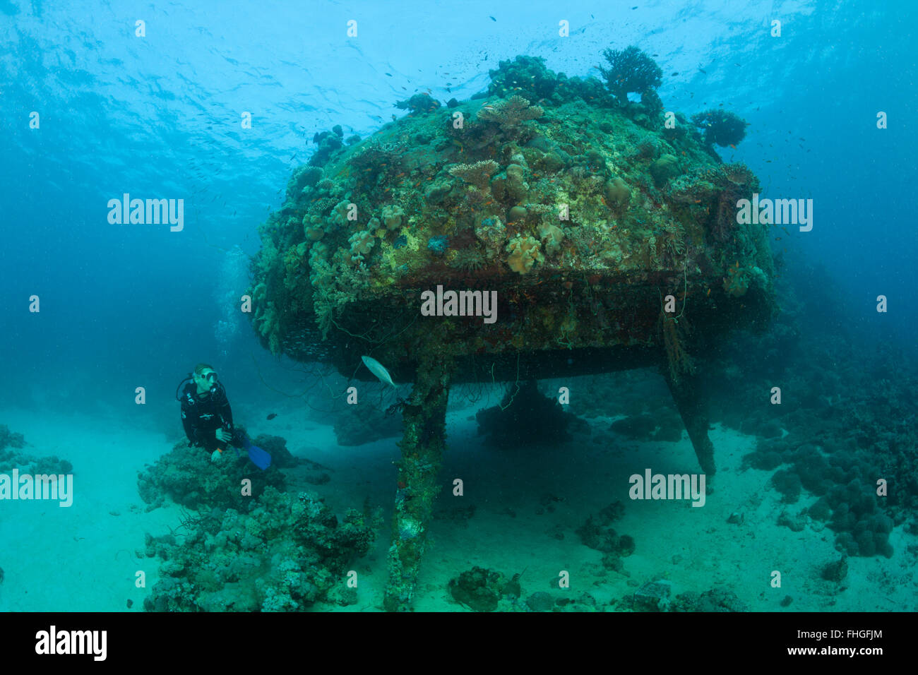 Diving Cousteaus Underwater Habitat Precontinent II, Shaab Rumi, Red