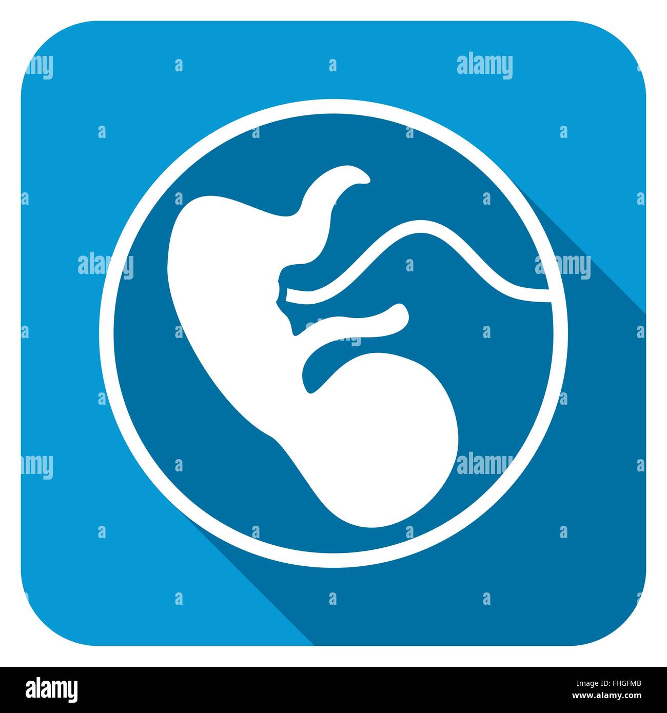 Embryo Longshadow Icon Stock Photo - Alamy