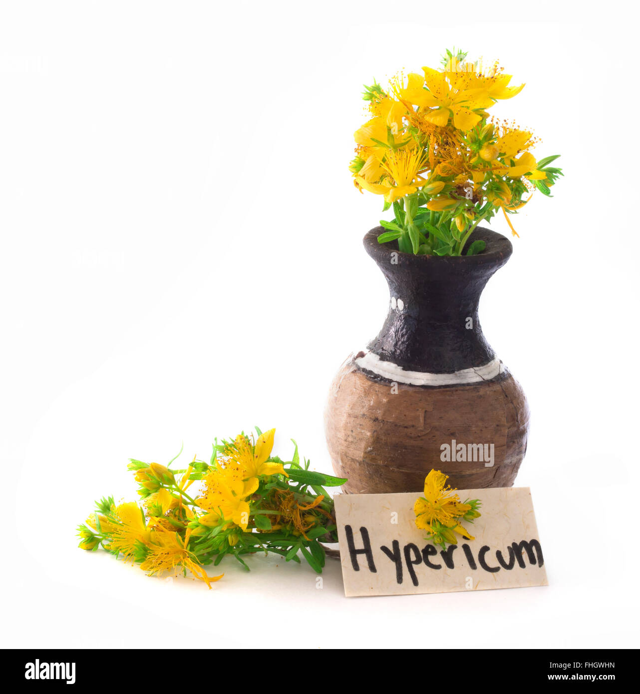 St John's wort herb Stock Photo Alamy