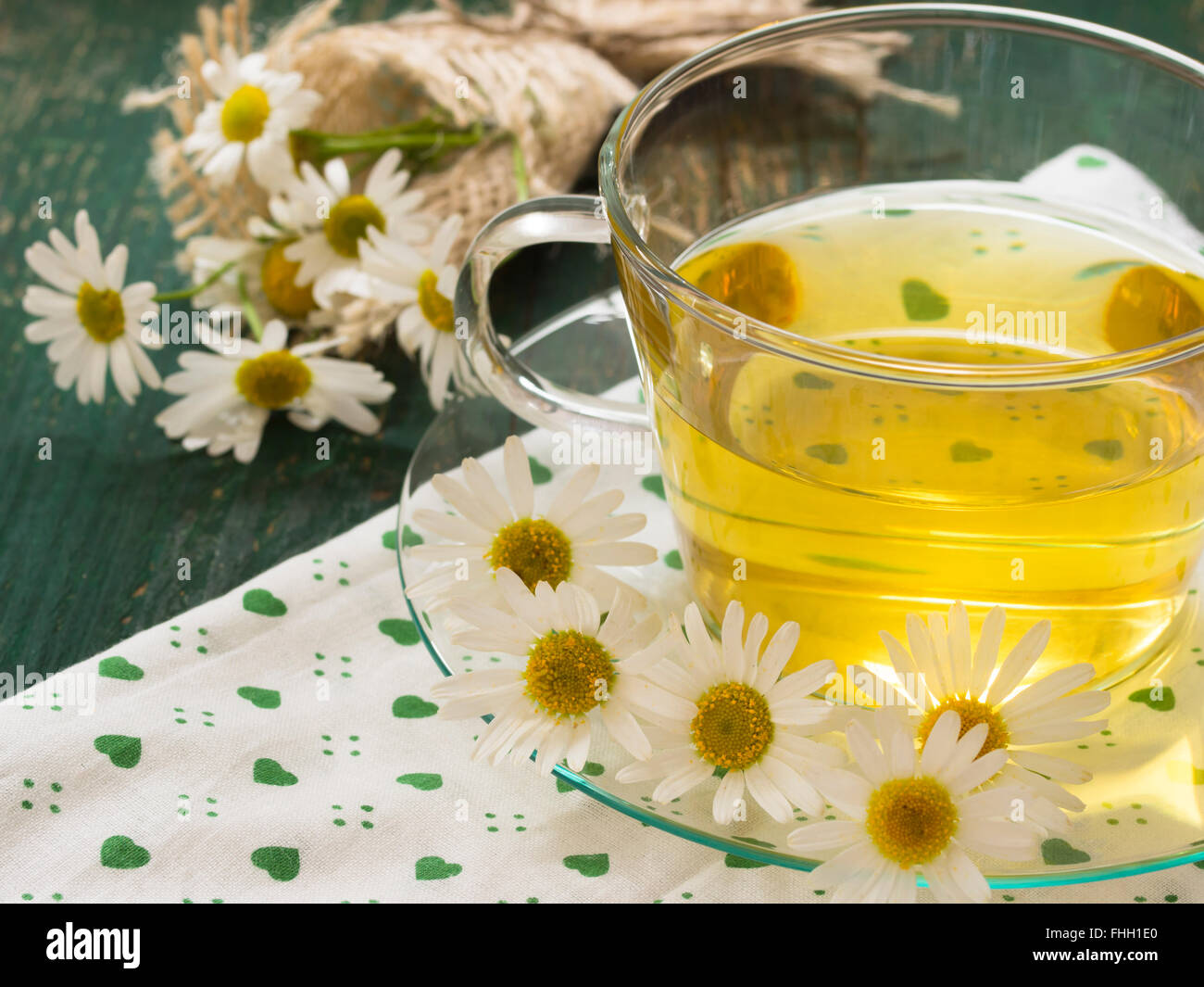 St John's wort herb Stock Photo Alamy