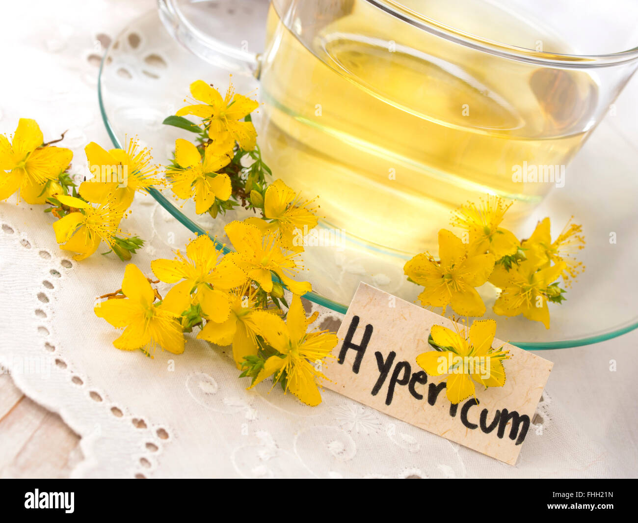 St John's wort herb Stock Photo Alamy