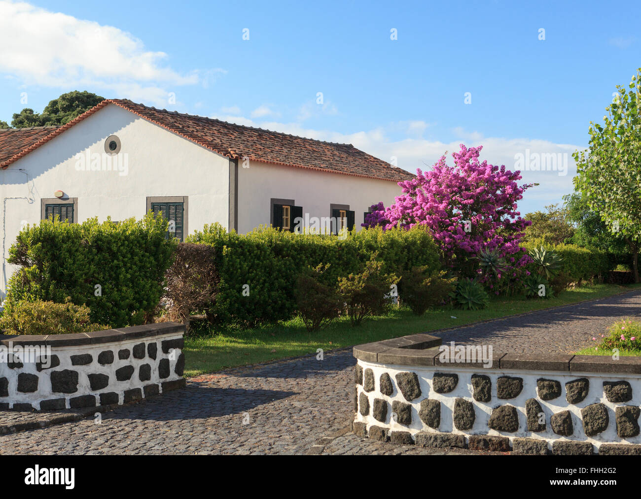 Traditional house in Pico Island, Azores, Portugal Stock Photo Alamy