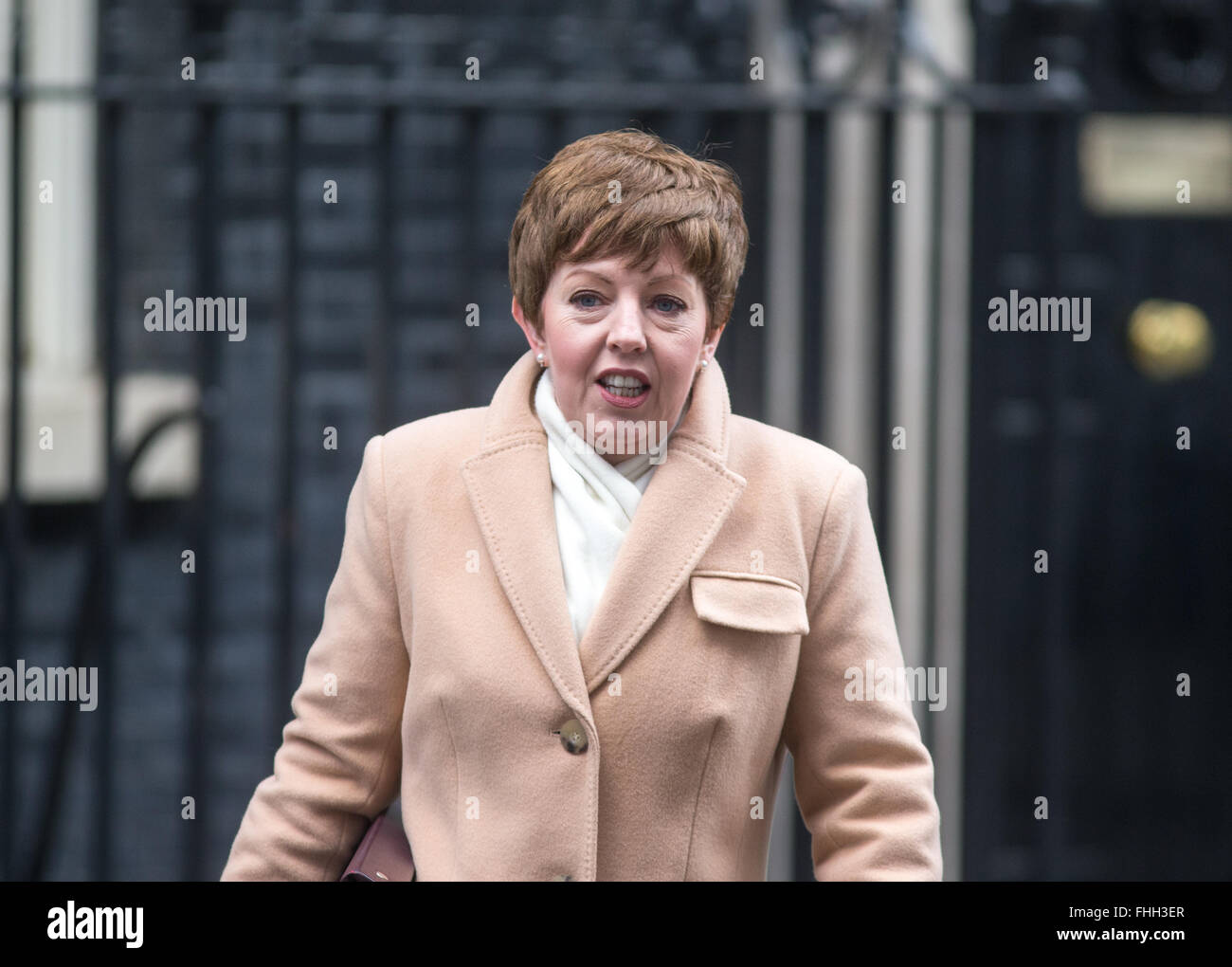 Tina Stowell,Baroness Stowell of Beeston at number 10 Downing Street.Barones Stowell is Leader of the House of Lords Stock Photo