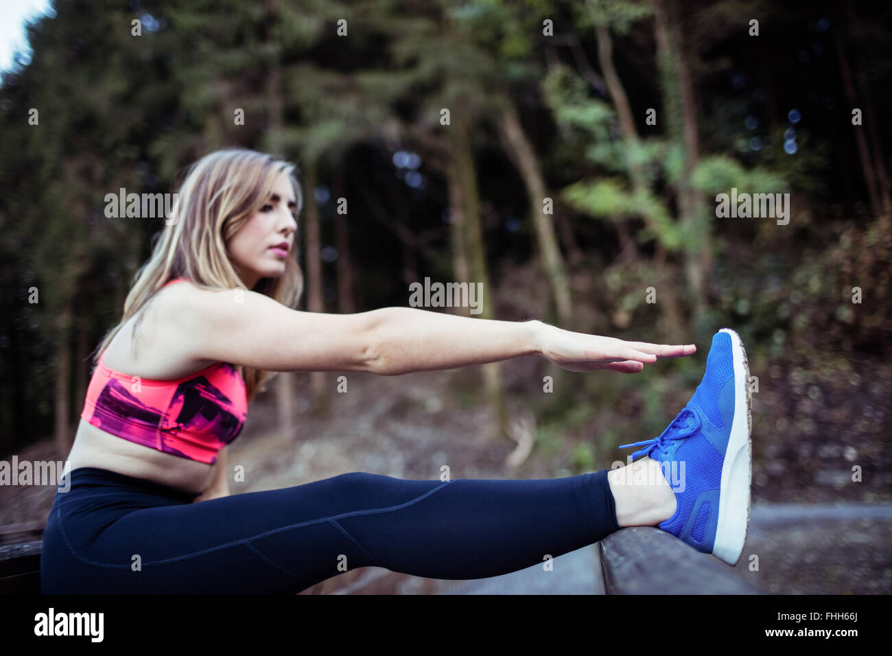 Leg Stretching Exercises in the Supine Position Stock Image - Image of  preventive, physio: 230860681