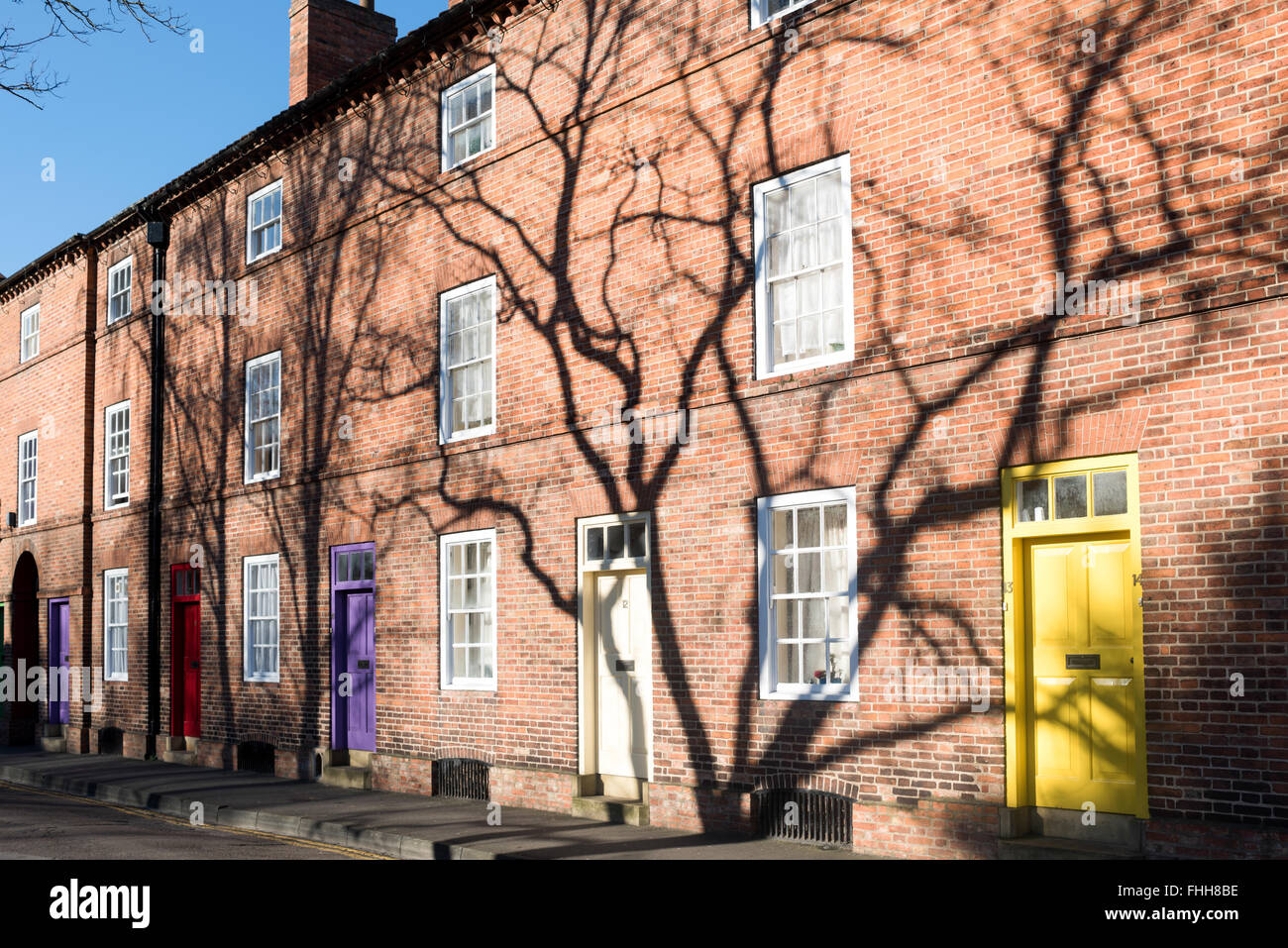 Newark-On-Trent, Nottinghamshire, UK. 25th February 2016.Trees cast ...