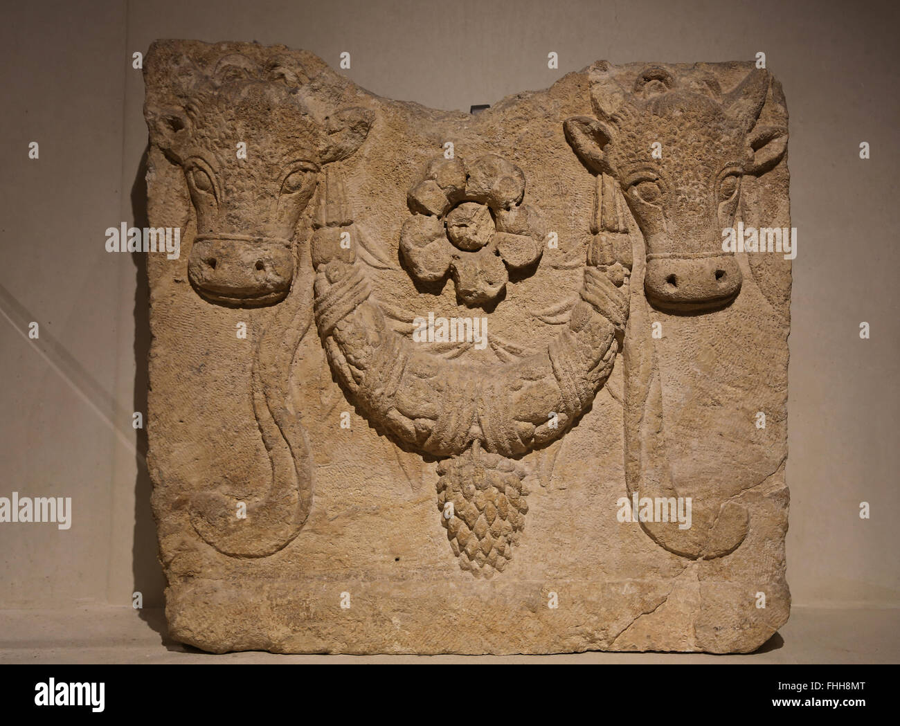 Roman era. Sarcophagus fragment . Bucranium. Ox-skulls decorated with garlands and florwers Sarepta, Lebanon. 2tn-3rd century AD Stock Photo