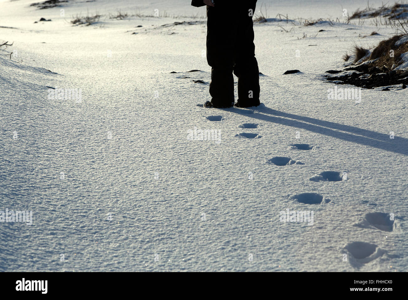 Footsteps of a man with black trousers in the snow Stock Photo