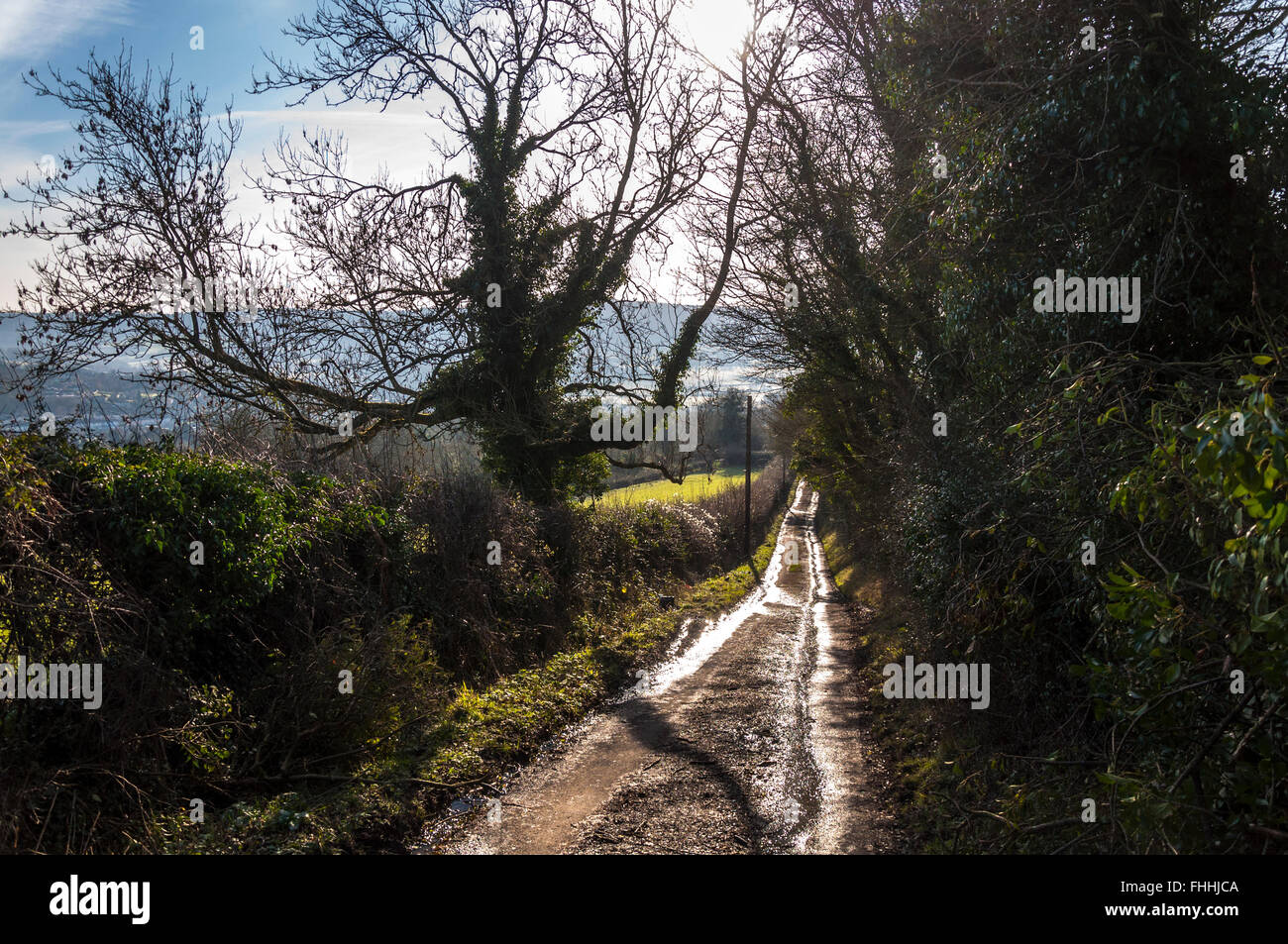 Rural countryside lane in winter sunlight Stock Photo