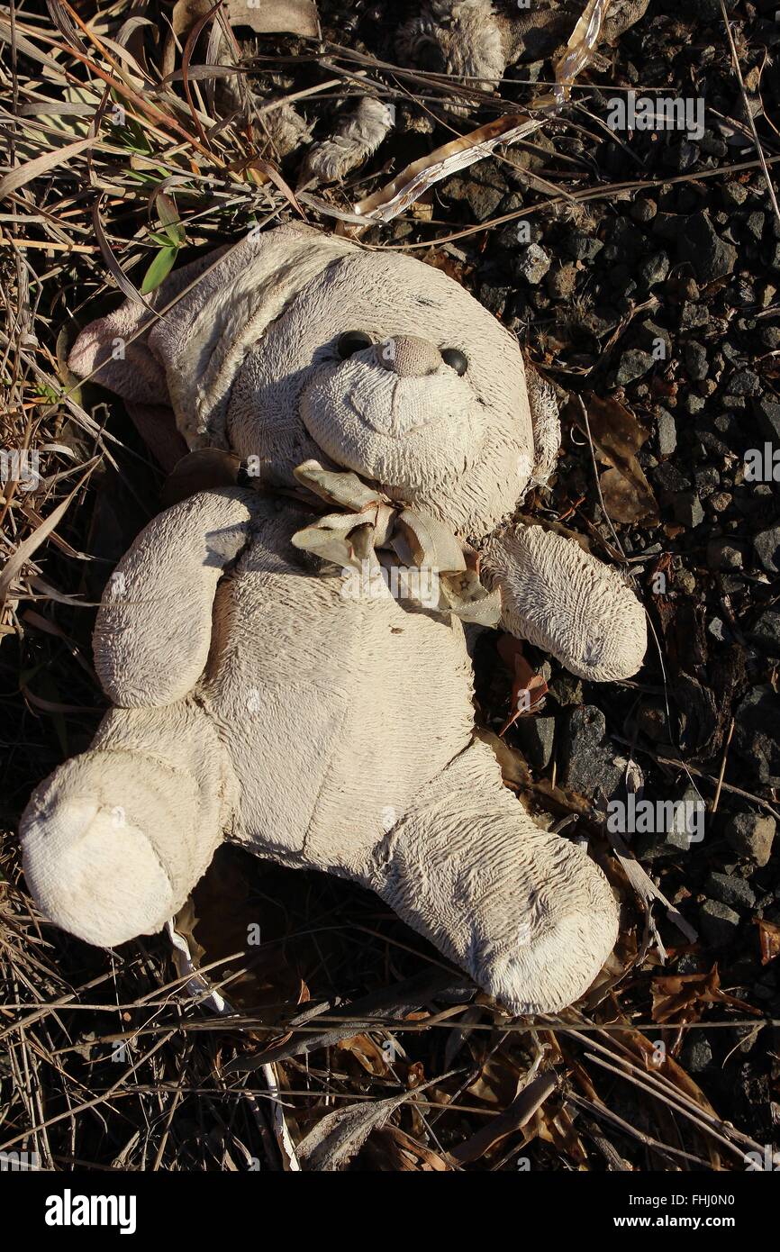 Abandoned child's toy teddy bear on natural ground Stock Photo