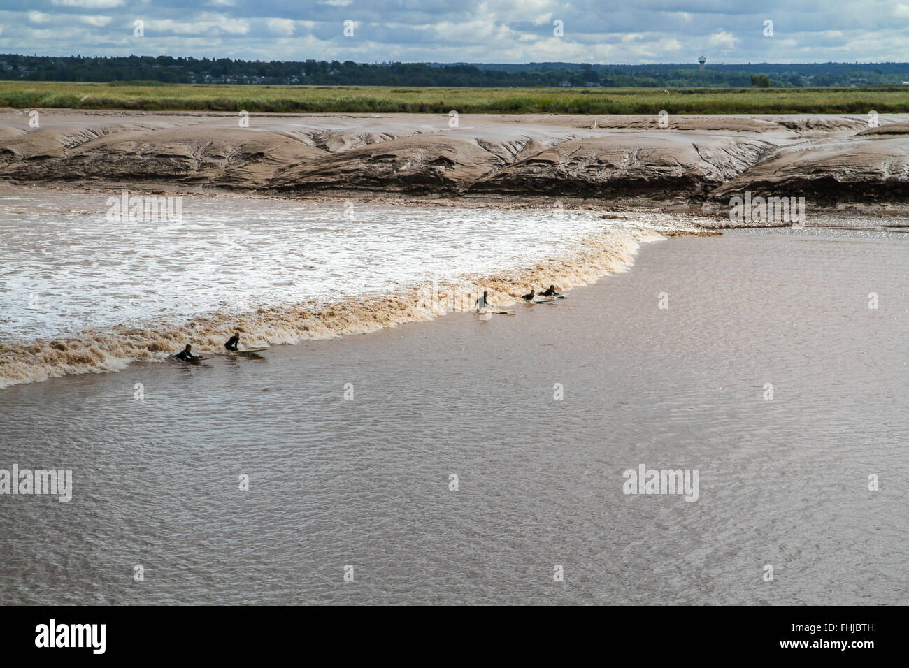 Surfers ride a tidal bore in the Petitcodiac River Stock Photo Alamy