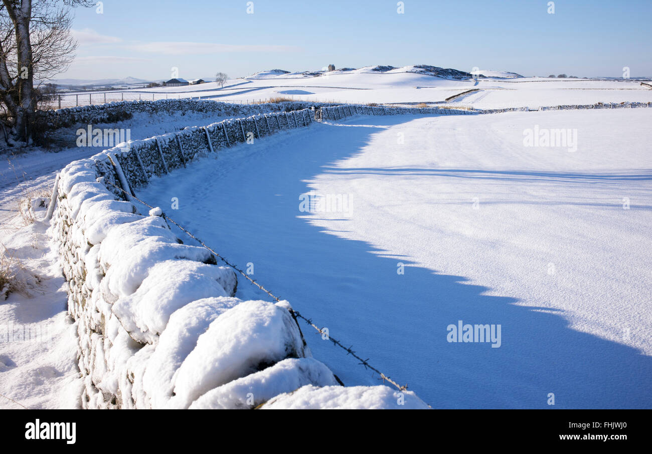Dry stone wall covered in snow in the winter. Scottish borders. Scotland Stock Photo