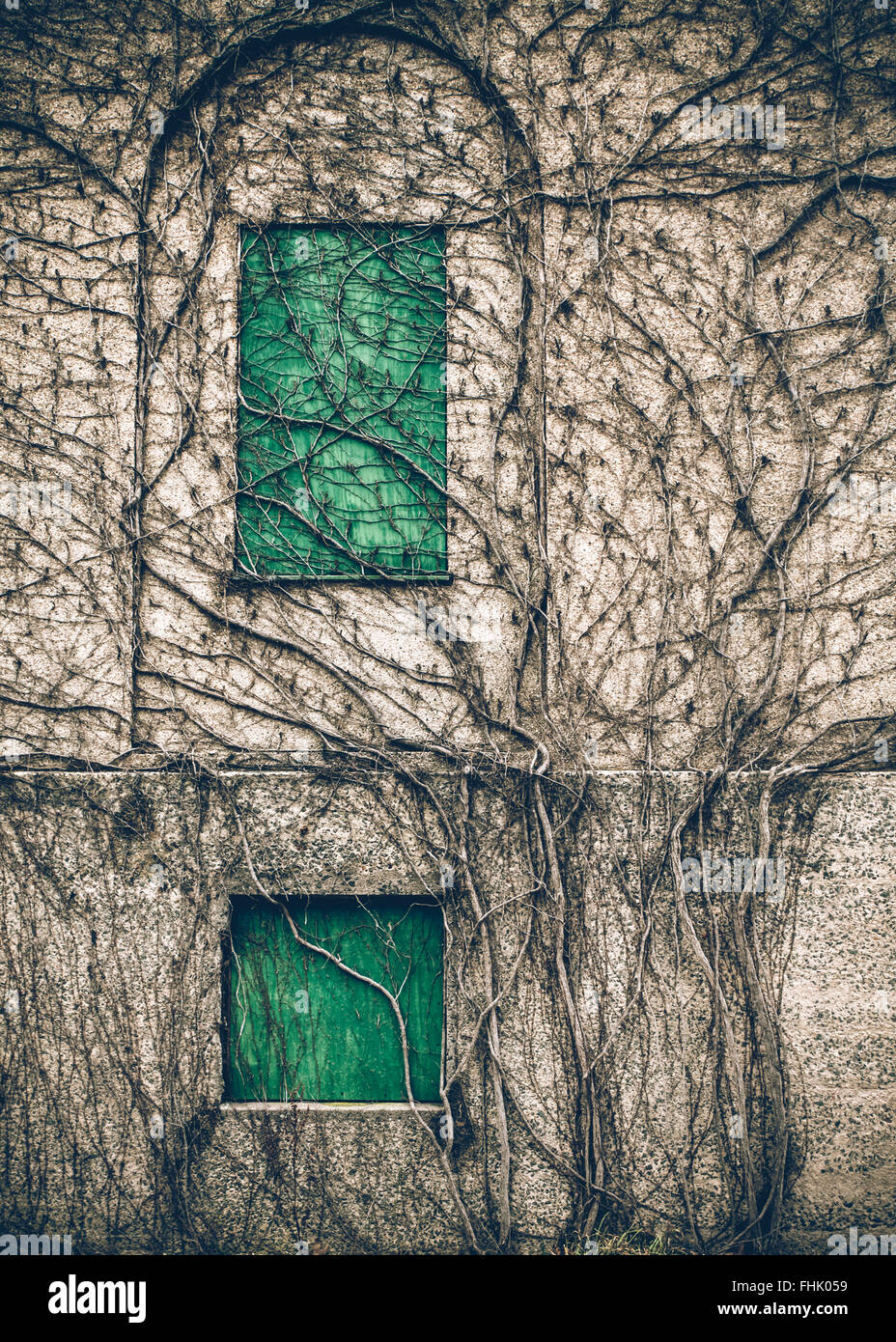 old abandoned building with vines and boarded up green windows Stock Photo