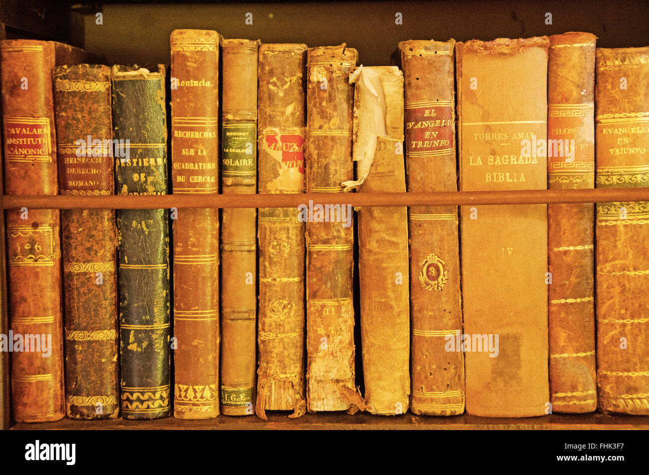 Mallorca, Majorca, Balearic Islands, Spain, Europe: ancient books at the library of the Royal Carthusian Monastery in Valldemossa Stock Photo