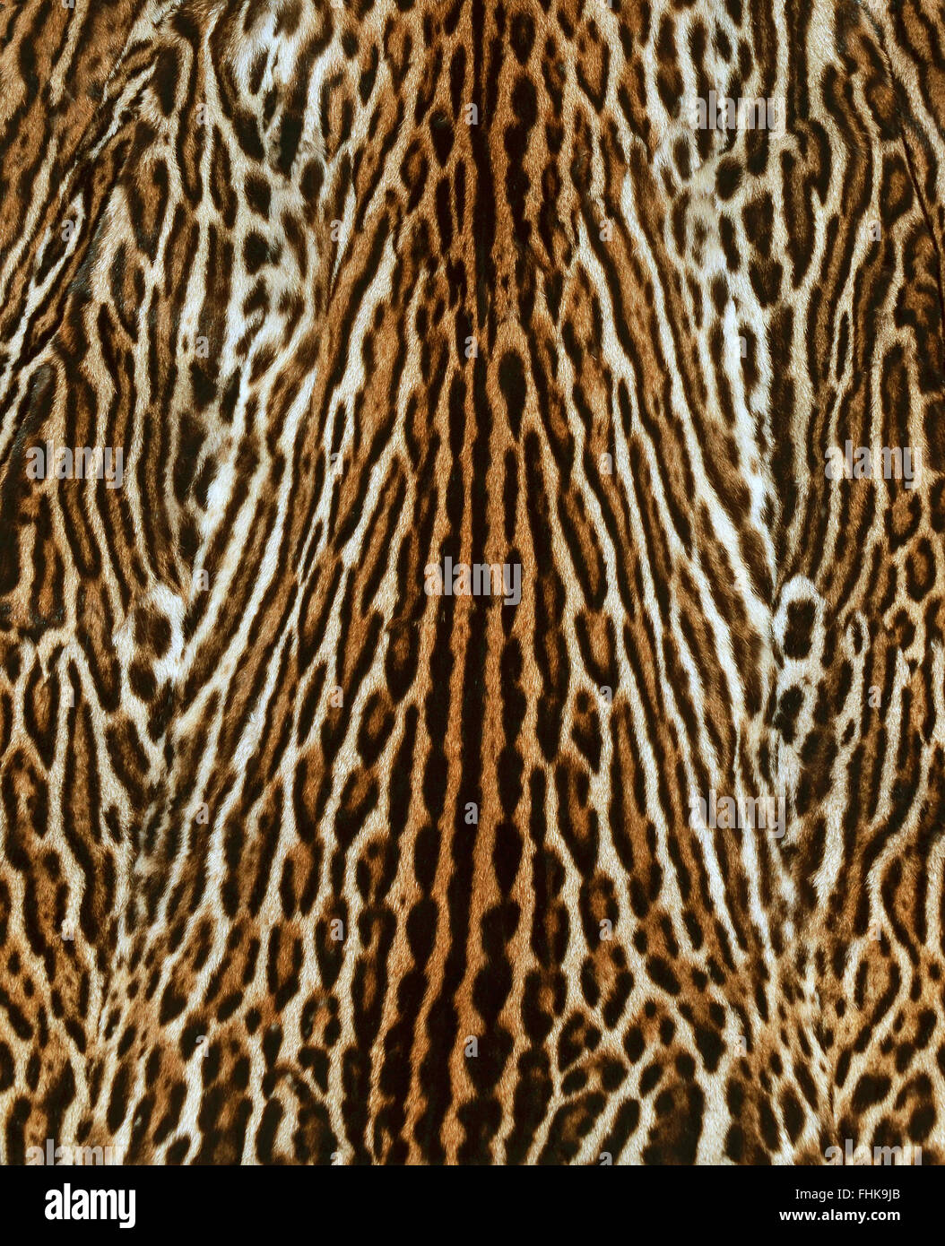 Real fur hi-res stock photography and images - Alamy