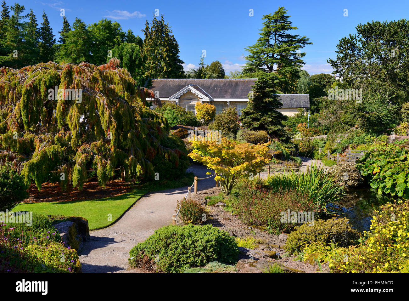 Rock garden, Royal Botanic Garden, Edinburgh, Scotland, UK Stock Photo