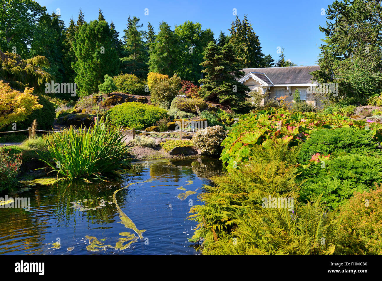 Rock Garden And Pond Royal Botanic Garden Edinburgh Scotland UK 