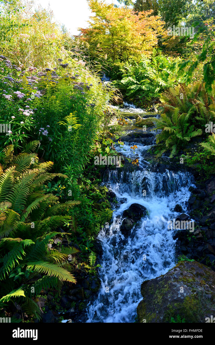 Stream in rock garden, Royal Botanic Garden, Edinburgh, Scotland, UK Stock Photo