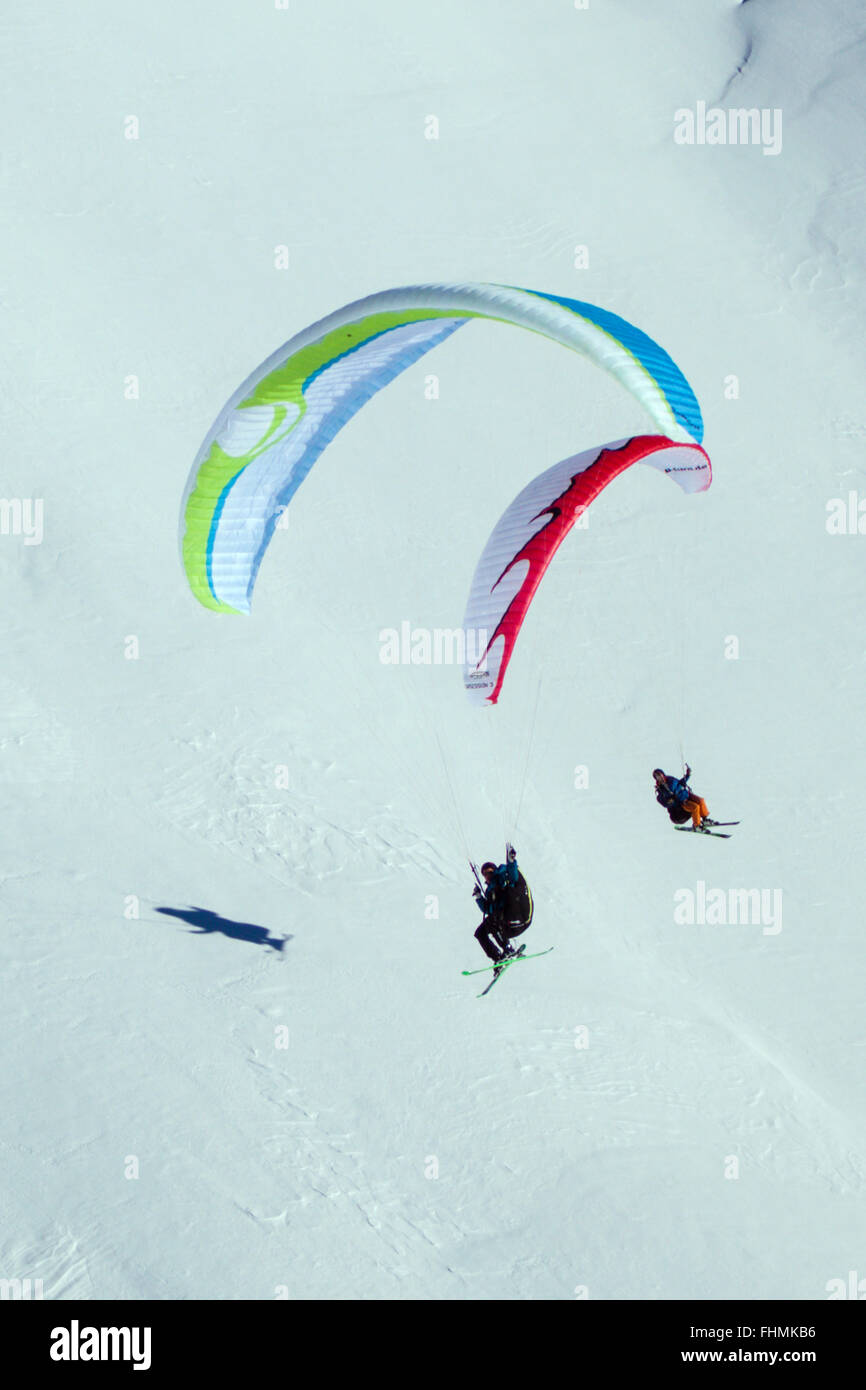 Paragliding with Ski, Sulden Skiing Area, South Tyrol, Italy Stock Photo