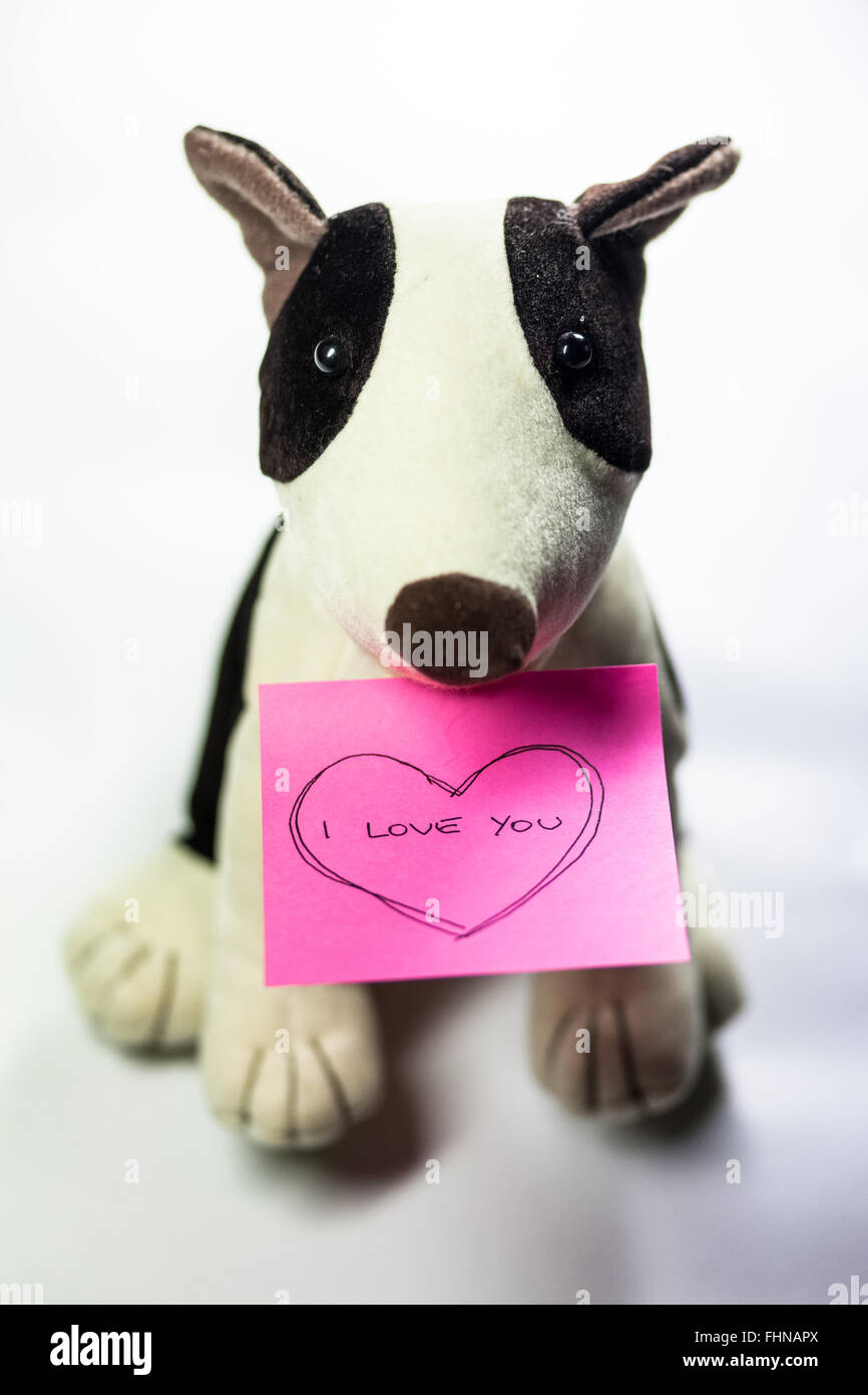 Toy dog with a pink note with the message 'I Love You' in a heart Stock Photo