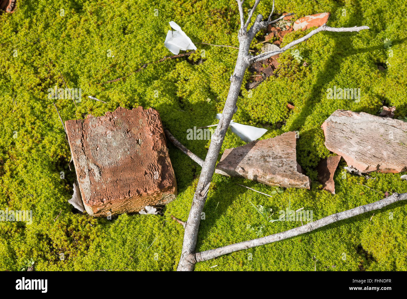 Rubble of old buildings as the environmental burden of nature Stock Photo
