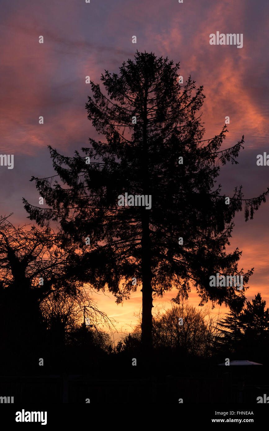 UK winter sunrise twilight Stock Photo