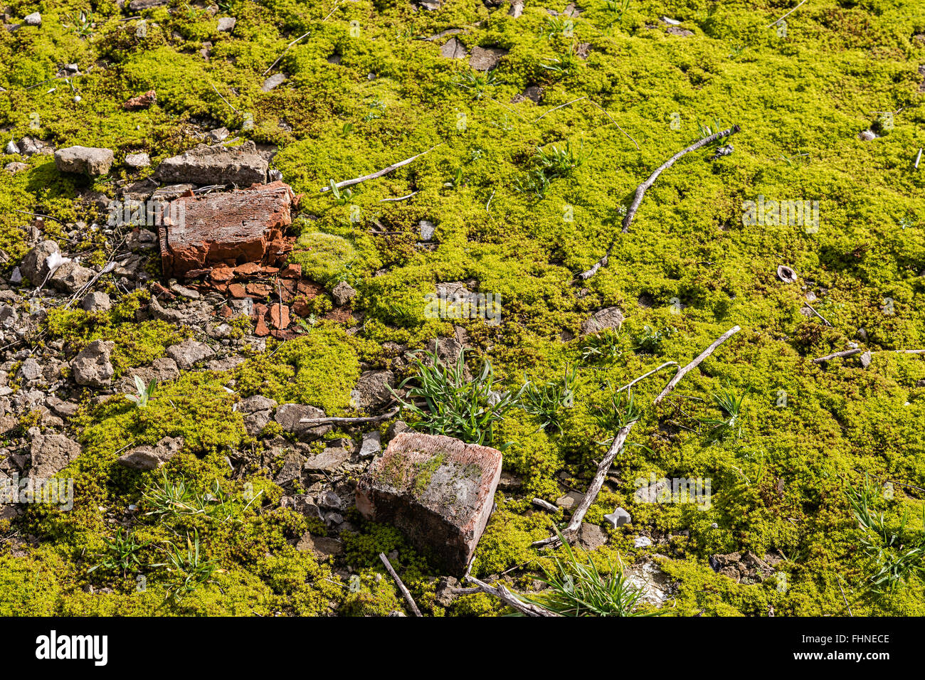 Rubble of old buildings as the environmental burden of nature Stock Photo
