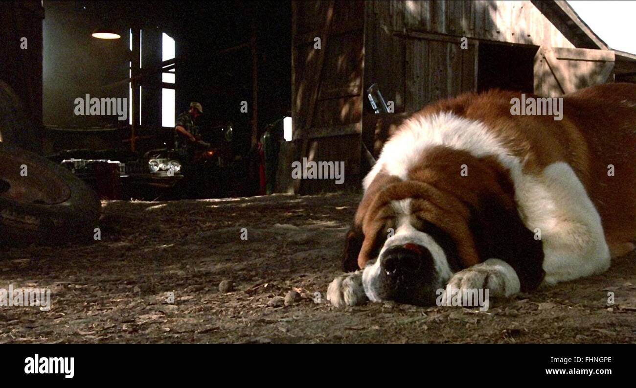 Cujo Movie High Resolution Stock Photography and Images Alamy