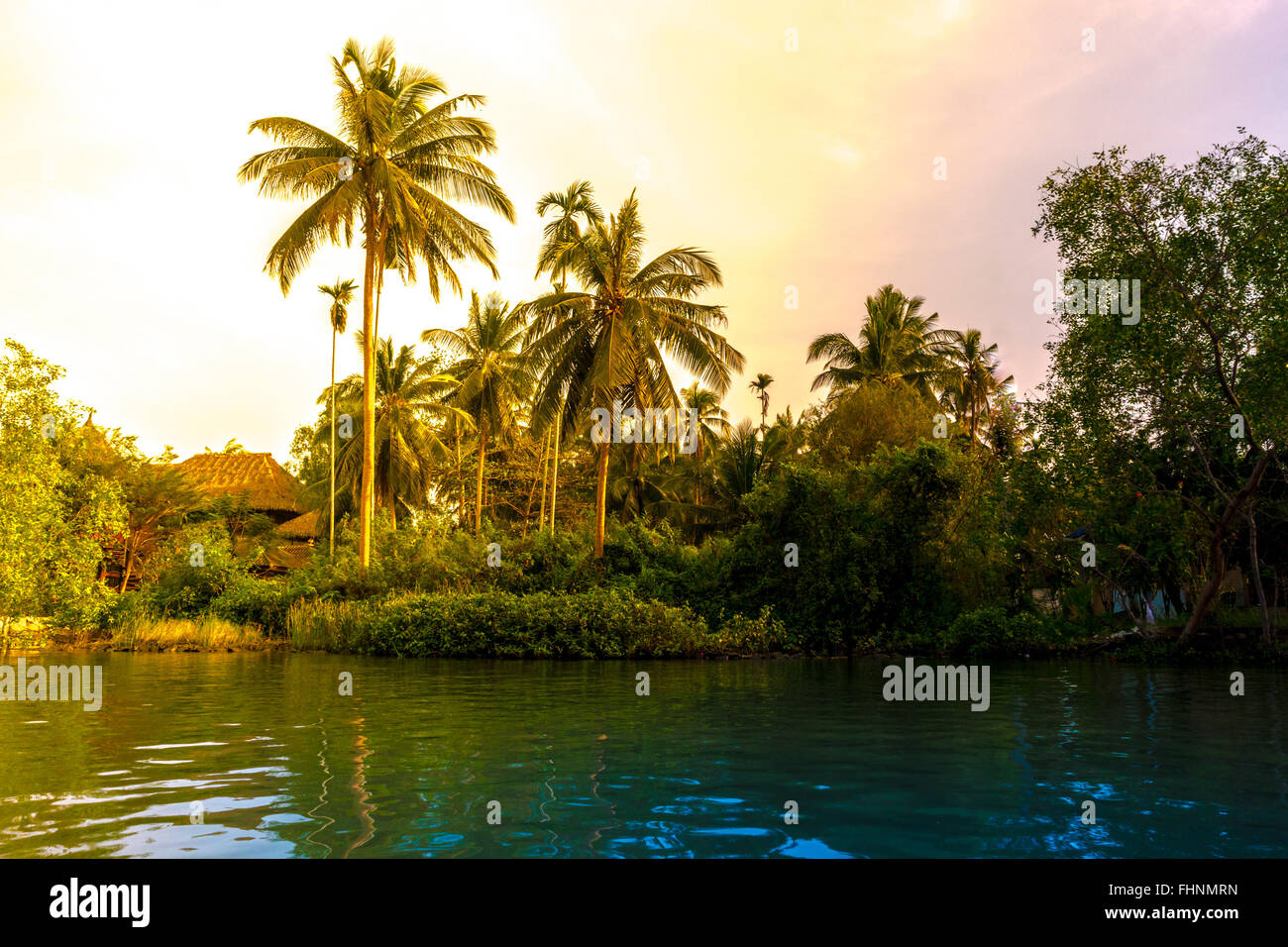 Palm trees on sea shore at beautiful sunny day Stock Photo - Alamy