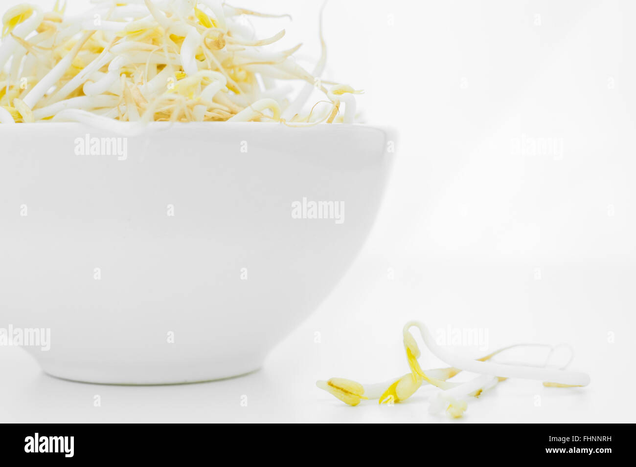 Bean sprouts in a bowl on a white background Stock Photo